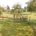 Daire Wald&wiesengefluester Zechlinerhuette *