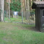 Wald&wiesengefluester Zechlinerhuette Daire *