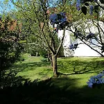 Wald&wiesengefluester Zechlinerhuette Rheinsberg