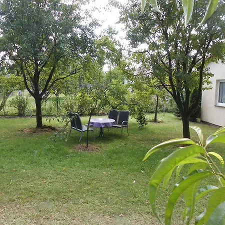 Wald&wiesengefluster Zechlinerhutte * Rheinsberg