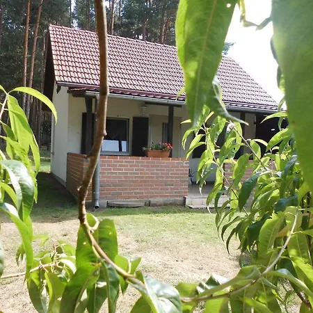 Wald&wiesengefluster Zechlinerhutte Rheinsberg