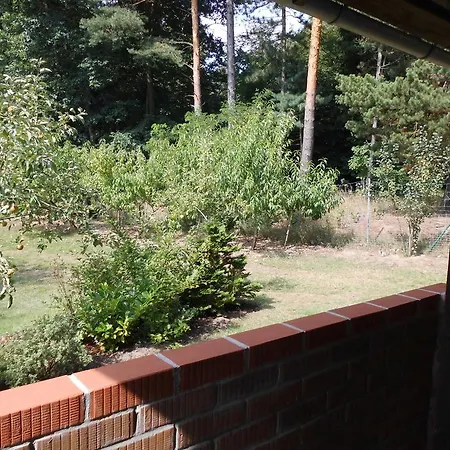 Wald&wiesengefluster Zechlinerhutte *