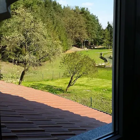 Wald&wiesengefluster Zechlinerhutte