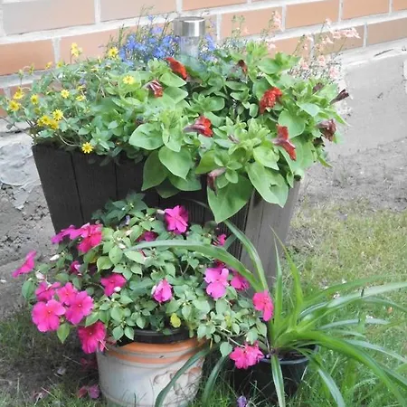 Wald&wiesengefluster Zechlinerhutte