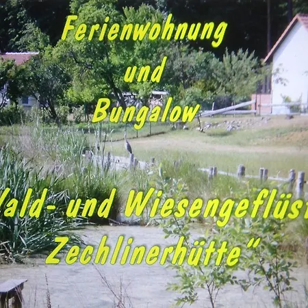 Wald&wiesengefluster Zechlinerhutte Rheinsberg