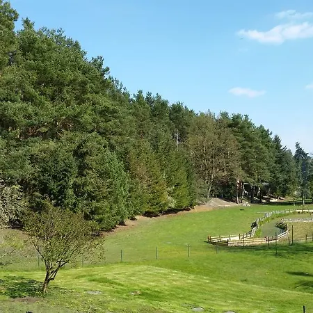 Wald&wiesengefluster Zechlinerhutte * Rheinsberg