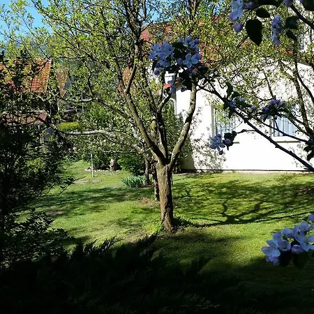 Wald&wiesengefluster Zechlinerhutte Rheinsberg