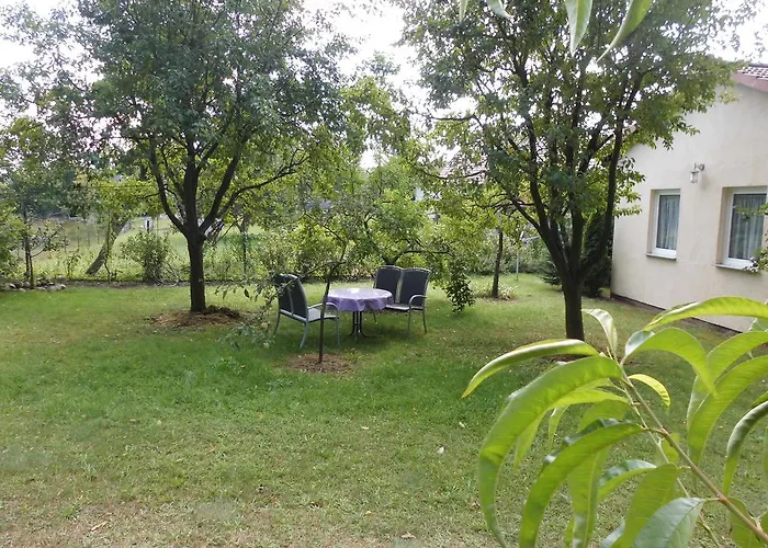 Wald&wiesengefluester Zechlinerhuette * Rheinsberg