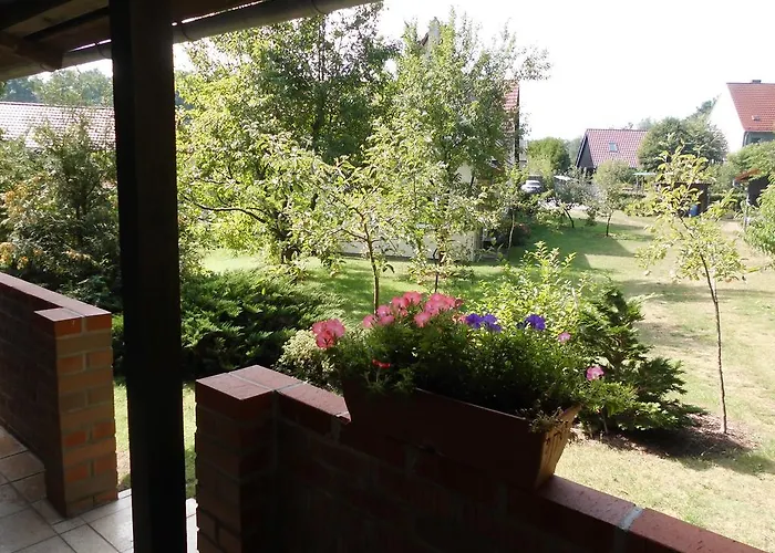 Wald&wiesengefluester Zechlinerhuette *