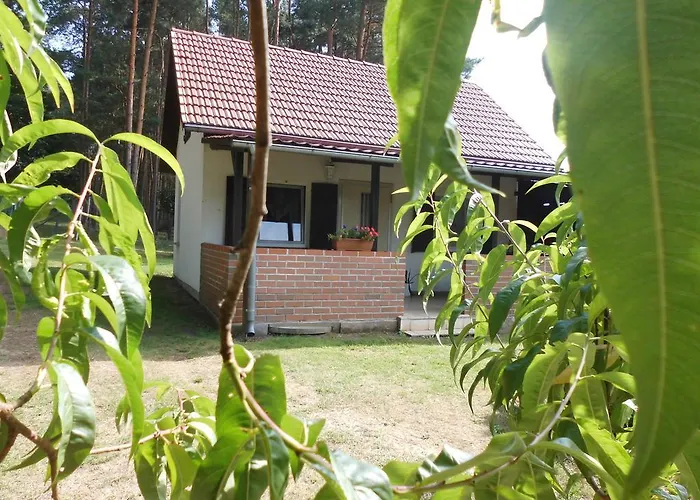 Wald&wiesengefluester Zechlinerhuette Rheinsberg