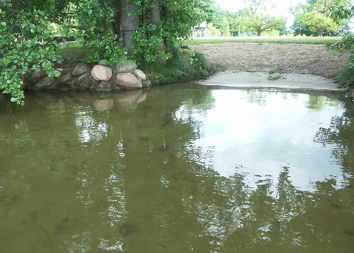 Wald&wiesengefluester Zechlinerhuette Rheinsberg