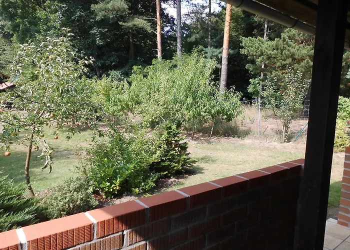 Wald&wiesengefluester Zechlinerhuette *