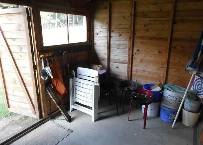 Wald&wiesengefluester Zechlinerhuette *