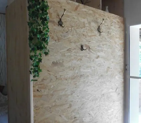 Wald&wiesengefluester Zechlinerhuette