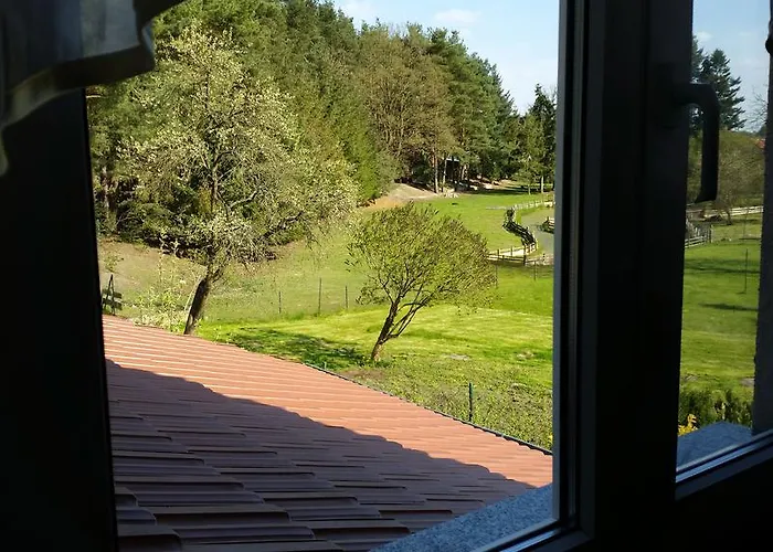 Wald&wiesengefluester Zechlinerhuette