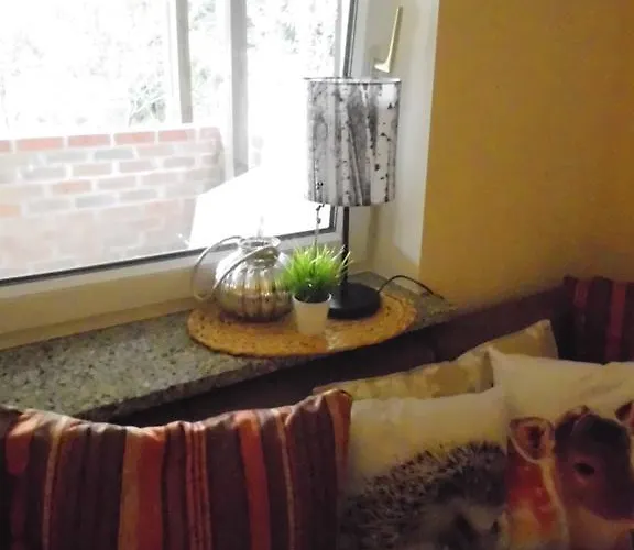 Wald&wiesengefluester Zechlinerhuette