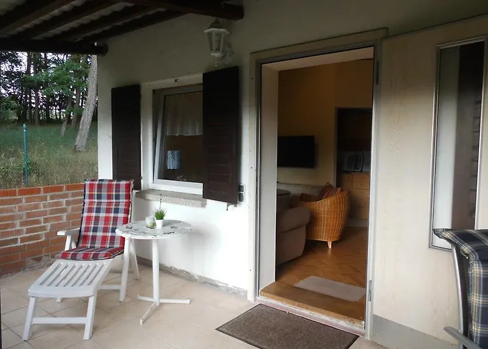 Wald&wiesengefluester Zechlinerhuette