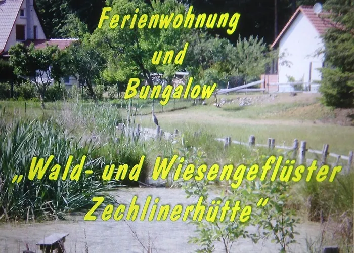 Wald&wiesengefluester Zechlinerhuette Rheinsberg