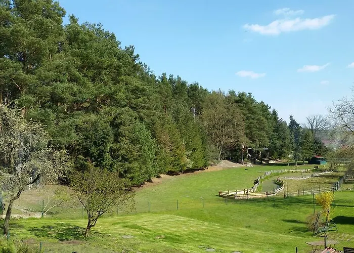 Wald&wiesengefluester Zechlinerhuette * Rheinsberg