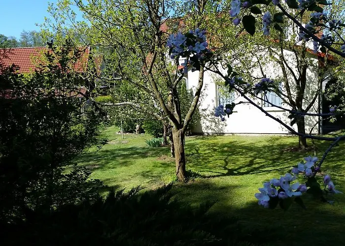 Wald&wiesengefluester Zechlinerhuette Rheinsberg